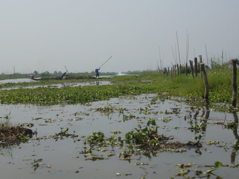 Travel - Myanmar - Inle Lake - Second Boat Trip - Canals